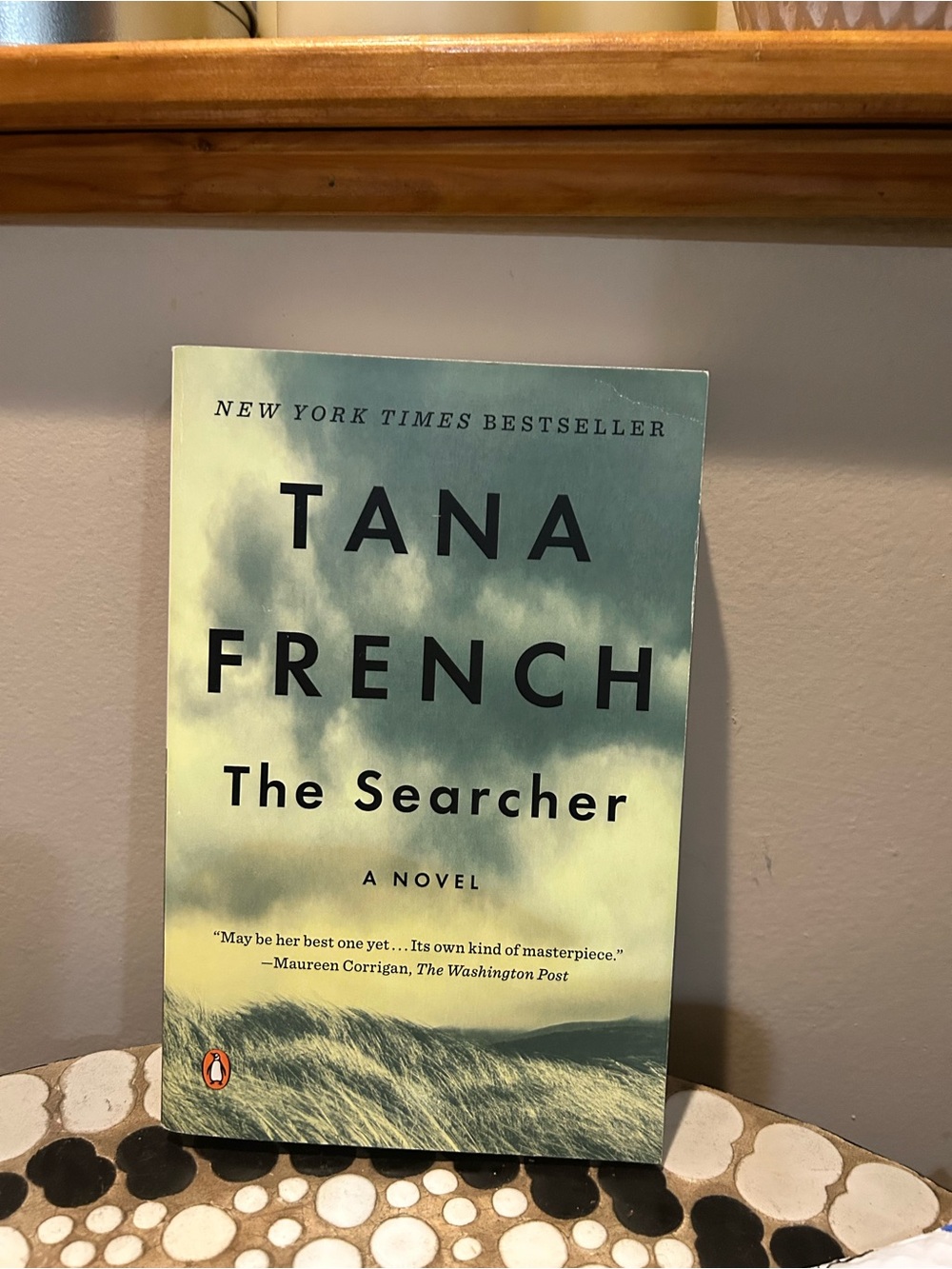 Suspenseful Fiction- The Searcher by Tara French - Paperback Book